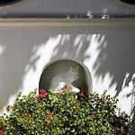 Gatto Bianco מלון 4*
