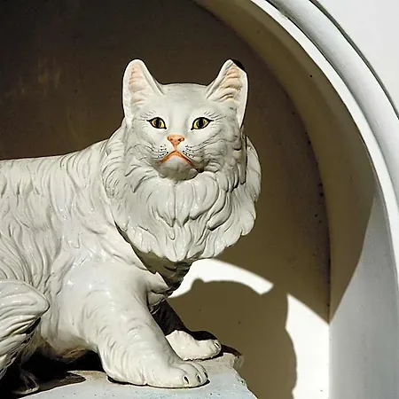 Gatto Bianco Hotel Capri