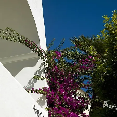 Hotel Gatto Bianco 4*