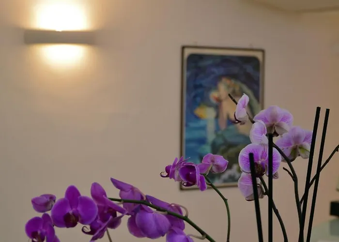 Gatto Bianco カプリ