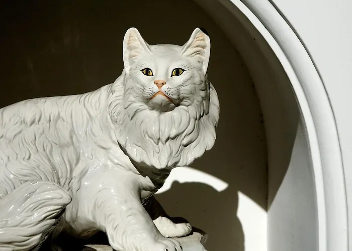 ホテル Gatto Bianco カプリ