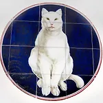Gatto Bianco