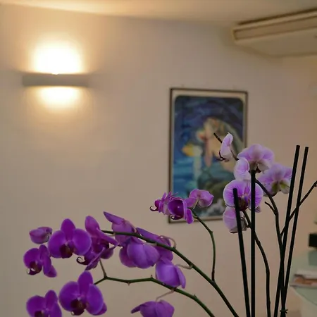 ألبيرغو غاتو بيانكو كابري