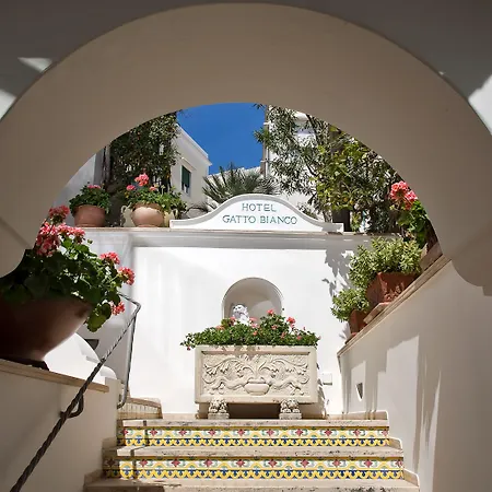 ألبيرغو غاتو بيانكو 4*