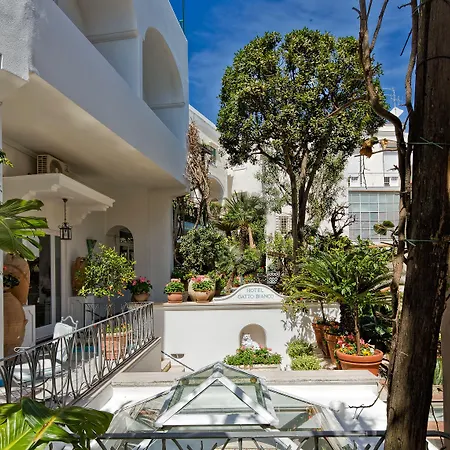 ألبيرغو غاتو بيانكو