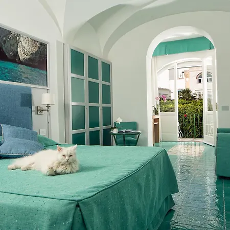 Gatto Bianco 4*