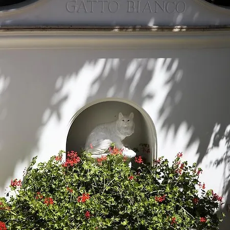 ألبيرغو غاتو بيانكو فندق 4*