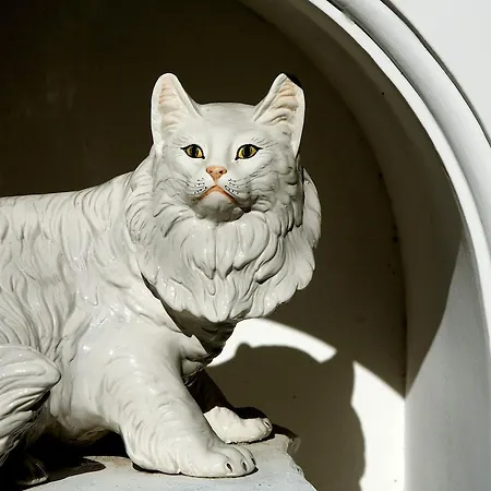 Ξενοδοχείο Gatto Bianco Κάπρι